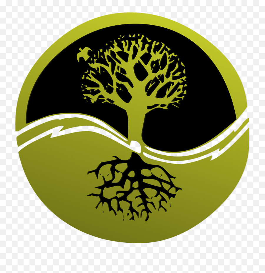 Root Tree Logo Clip - Discipleship Matters Png,Tree Roots Png