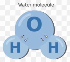 Download An Image Showing Polarizing - Circle Png,Molecule Png