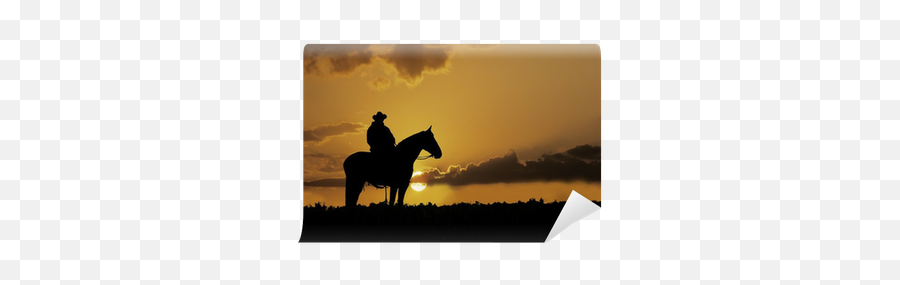 Cowboy Silhouette Wall Mural U2022 Pixers We Live To Change - Vaqueras Frases De Caballos En Inglws Png,Cowboy Silhouette Png