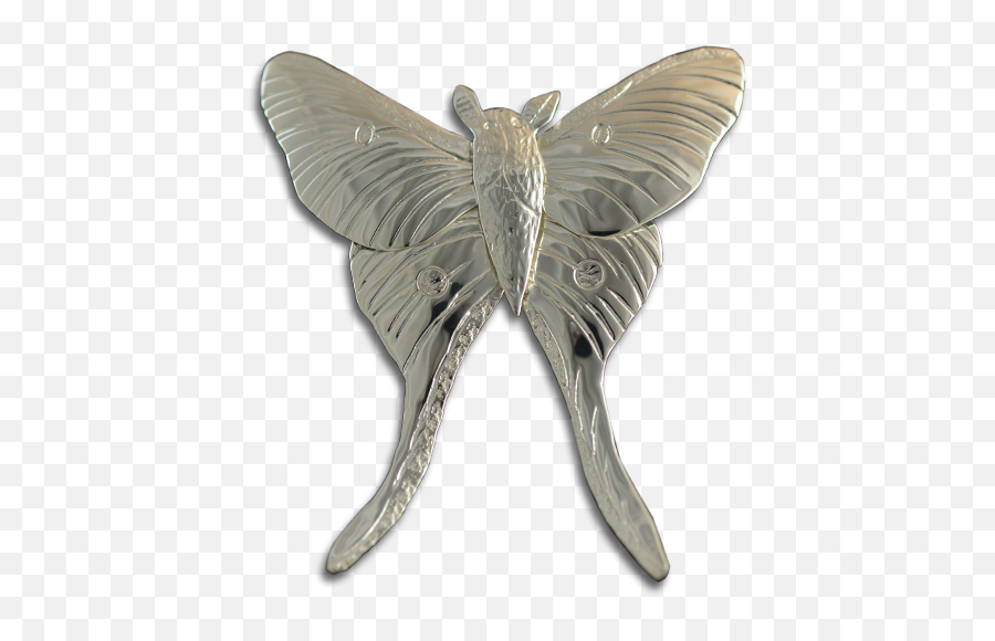 Original Pinpendant Luna Moth - Sterling U2014 Courtney Design Png,Moth Png