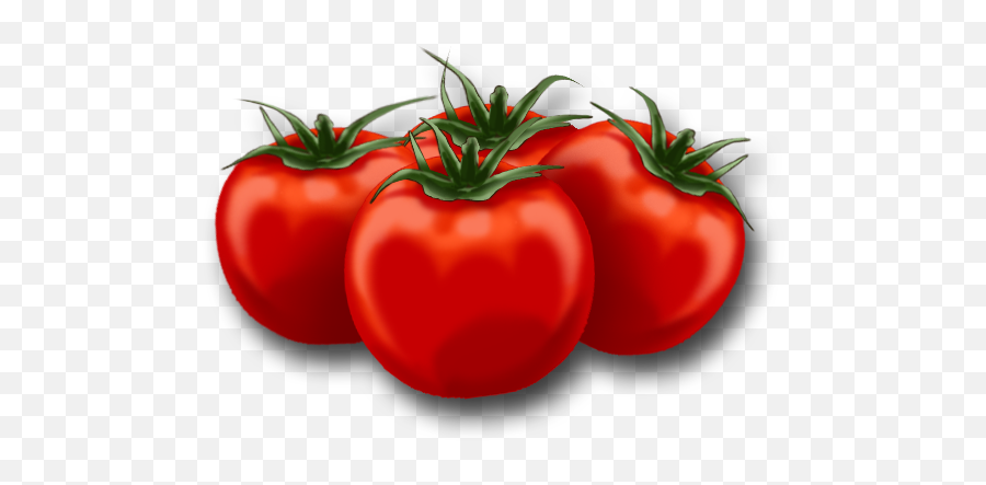 Free Tomato Transparent Download - Animated Pics Of Tomato Png,Tomatoe Png