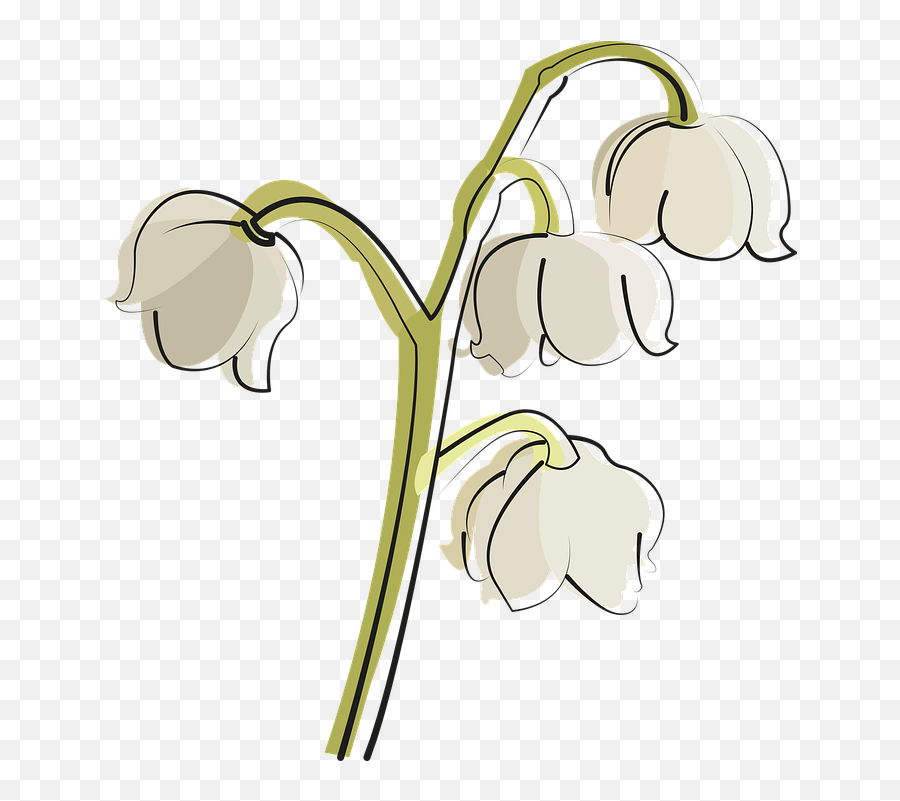 Lily Of The Valley Flower White - Vector Lily Of The Valley Png,Lily Of The Valley Png