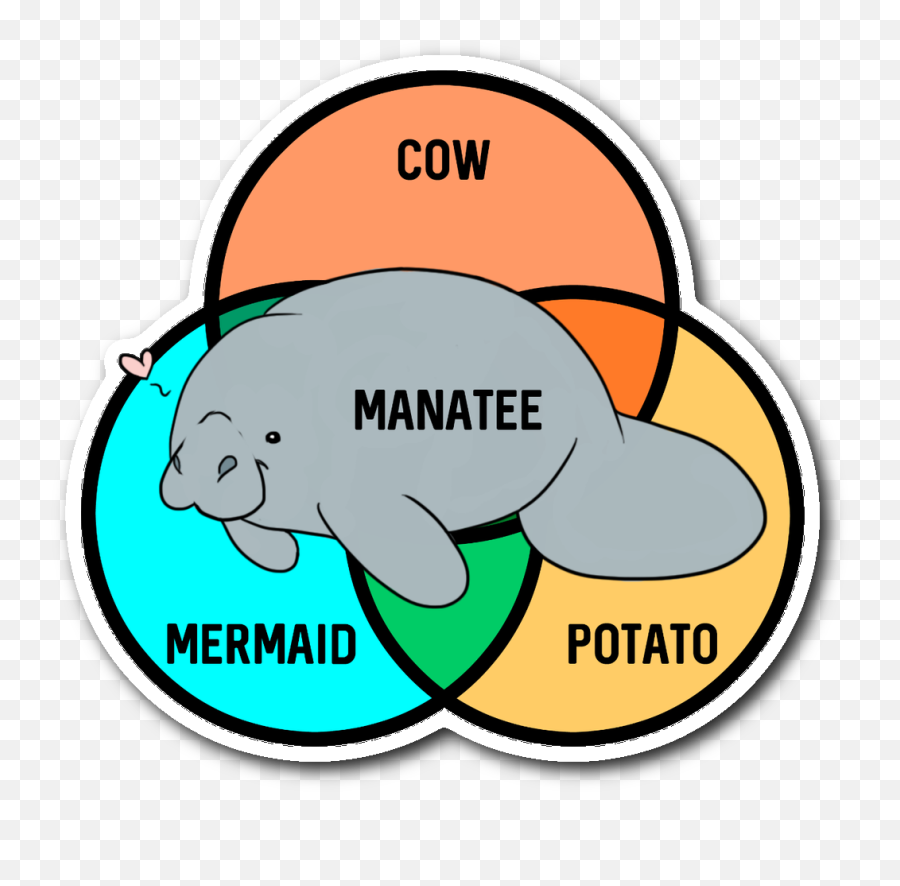 Download What Even Are Manatees Sticker - Manatee Mermaid Sea Cow Png,Manatee Png