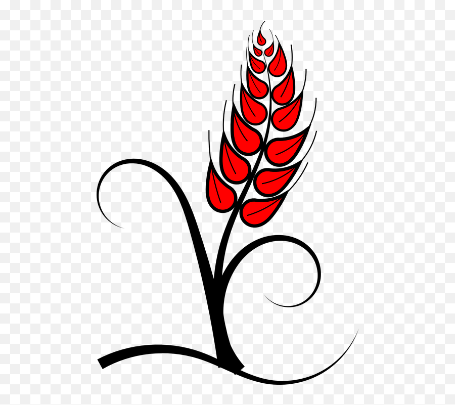 Clip Art - Holy Communion Graphic Png,Corn Stalk Png