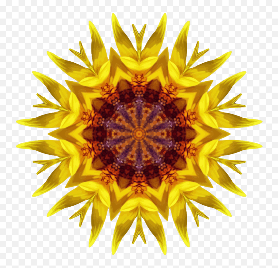 Png Sunflower Kaleidoscope - Common Sunflower,Kaleidoscope Png