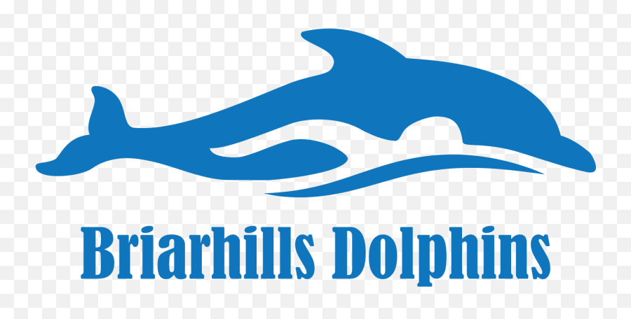 Home - Dolphin Swim Team Logo Png,Dolphins Logo Png
