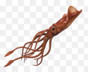 Squid Png Image - Giant Squid Transparent Background,Squid Png