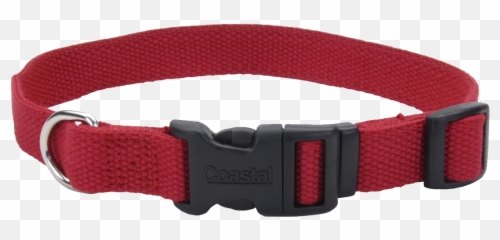 Dog Collar Png - Transparent Collar Dog Png,Dog Collar Png