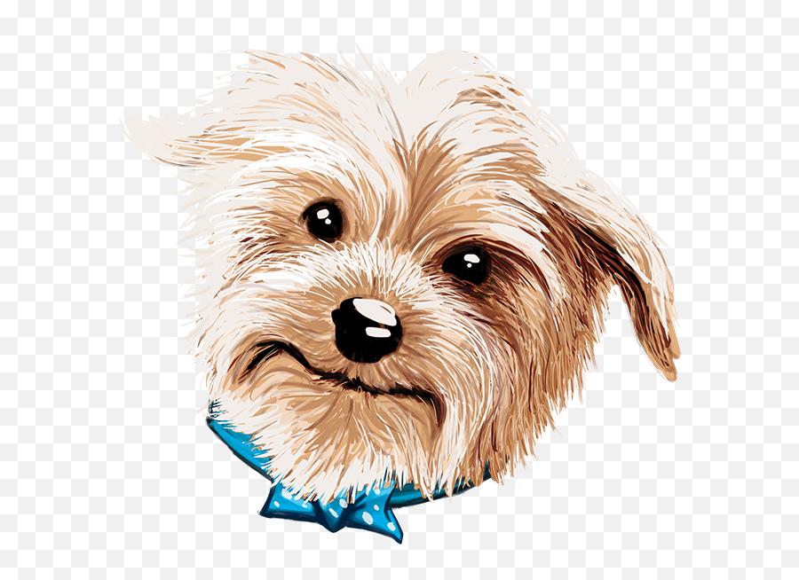 Drawing Yorkie Png Freeuse Library - Yorkie Png Drawing,Yorkie Png