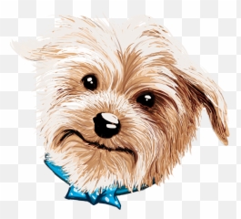 Drawing Yorkie Png Freeuse Library - Yorkie Png Drawing,Yorkie Png