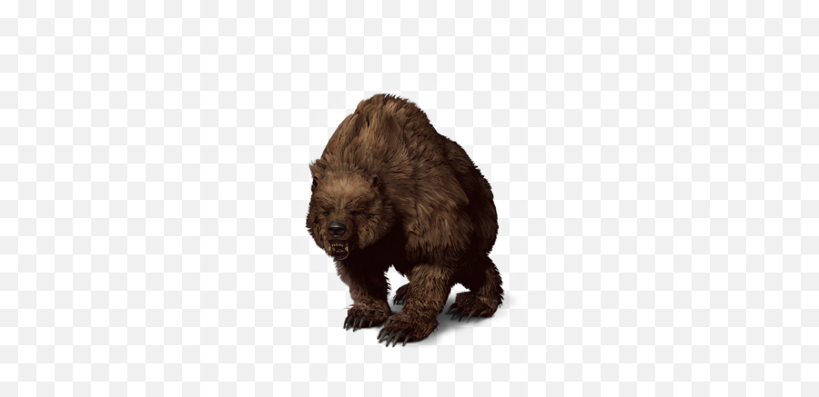 Bear - Bear The Witcher 3 Png,Bears Png