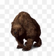 Bear - Bear The Witcher 3 Png,Bears Png