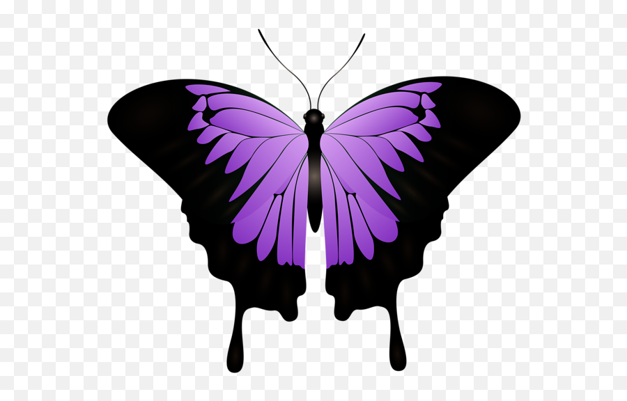 Purple Butterfly Decorative Transparent Image - Purple And Black Monarch Butterfly Png,Butterflies Transparent