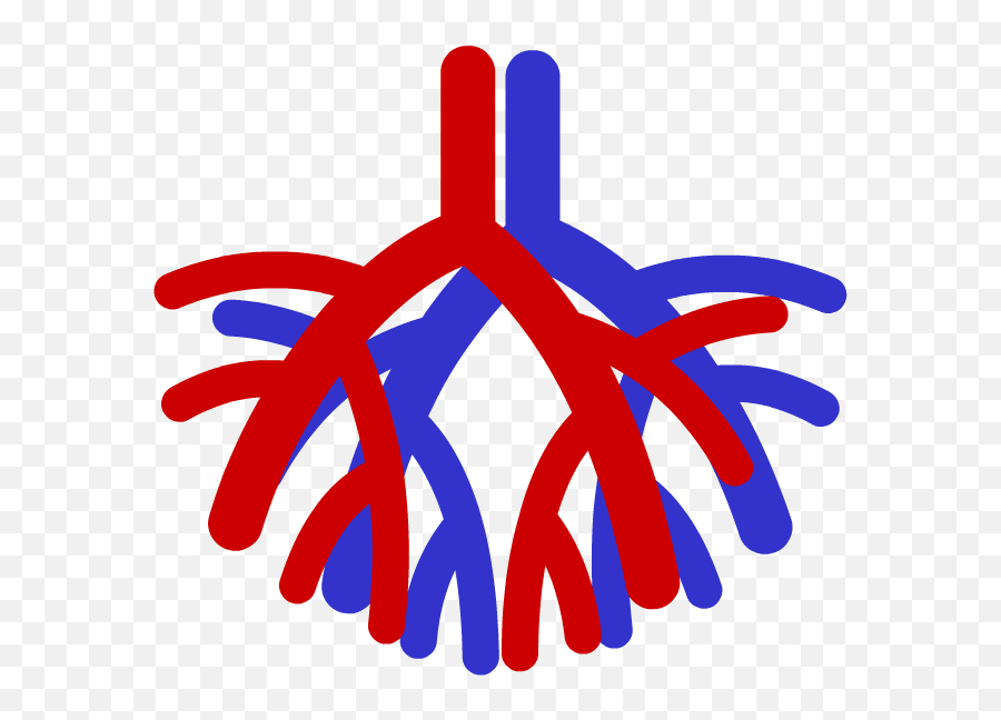 Blood Trail Png - Circulatory System Cardiovascular System Icon,Blood Trail Png