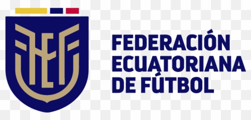 Ecuadorian Football Federation U0026 Ecuador National - Vertical Png,Ecuador Flag Png