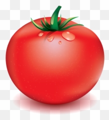 Realistic Vector - Adi Priyanto Superfood png