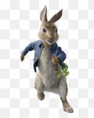 Download Free Png Peter Rabbit - Character Peter Rabbit Movie,Peter Rabbit Png