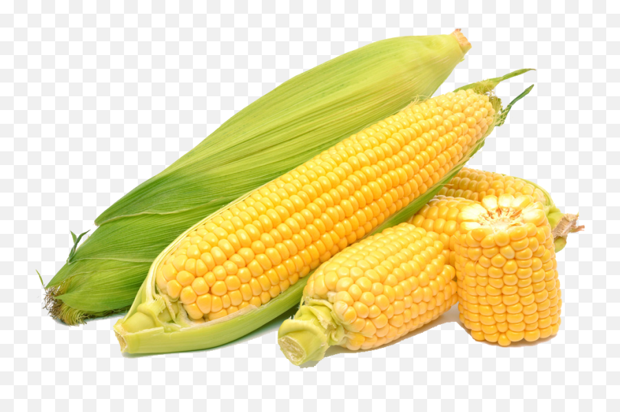 Corn - Sweet Corn Png,Corn Transparent Background