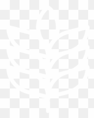 Maalstroom Brewing - Decorative png