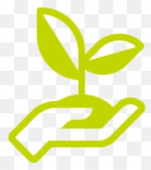 Impact Rainforest Alliance - Language Png,Regeneration Icon