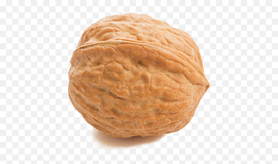 Walnuts - Walnut Nut Png,Walnut Transparent