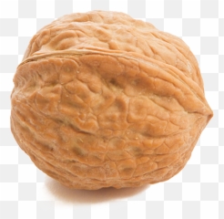 Walnuts - Walnut Nut Png,Walnut Transparent