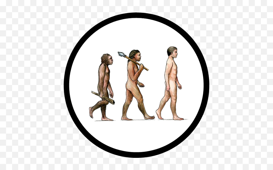 1 Paleoanthropology U2013 The History Of Our Tribe Hominini - Wvolution Of Man Png,Fossil Enamel Icon Valet