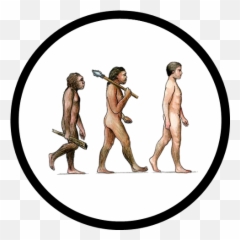 1 Paleoanthropology U2013 The History Of Our Tribe Hominini - Wvolution Of Man png