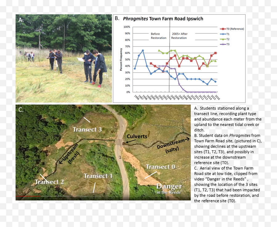 Plum Island Ecosystems Lter - Lter Png,Map Icon Grassland