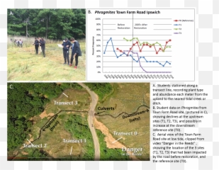 Plum Island Ecosystems Lter - png