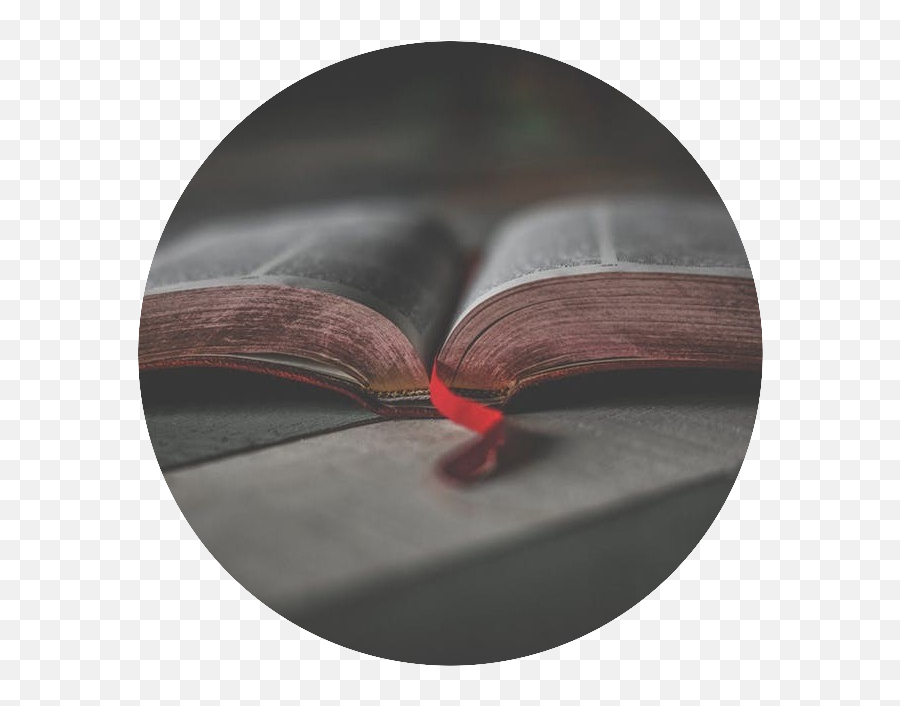 Download Open Bible - The Bible Png,Open Bible Png