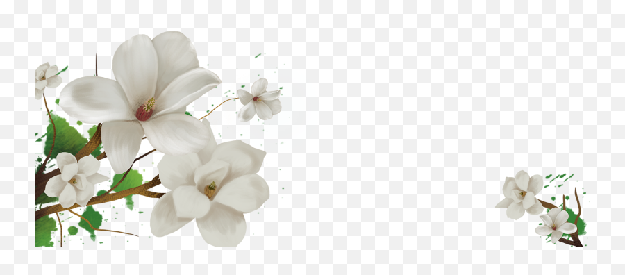 Kisspng - Capejasmineflowerfloraldesignfloralbackground Jasmine Flower Background Free Png,Flower Background Png