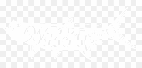 Fly Fishing The Flats Of Pine Island - Fishing Guide Logo Png,Fishing Logos