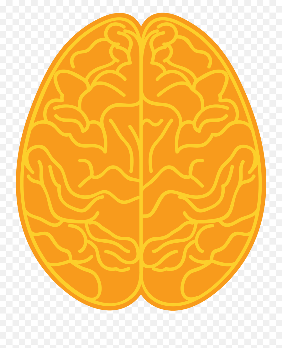 Right Brain Clipart - Illustration Png,Brain Clipart Transparent