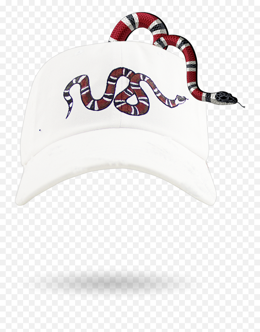 Gucci Archives - Uncommon White Gucci Snake Hat Png,Gucci Snake Png