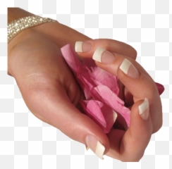 Acrylic Nails Png - New Expression Nails Chris Spa And Nails,Manicure Png