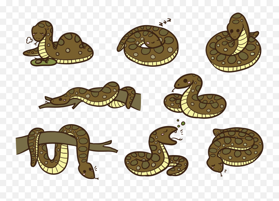Download Anaconda Cartoon Vector - Rattlesnake Png,Anaconda Png - free  transparent png images 