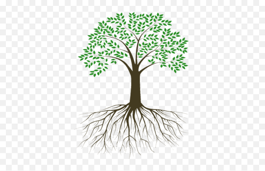 Free Png Images - Transparent Background Tree With Roots Png,Tree Roots Png