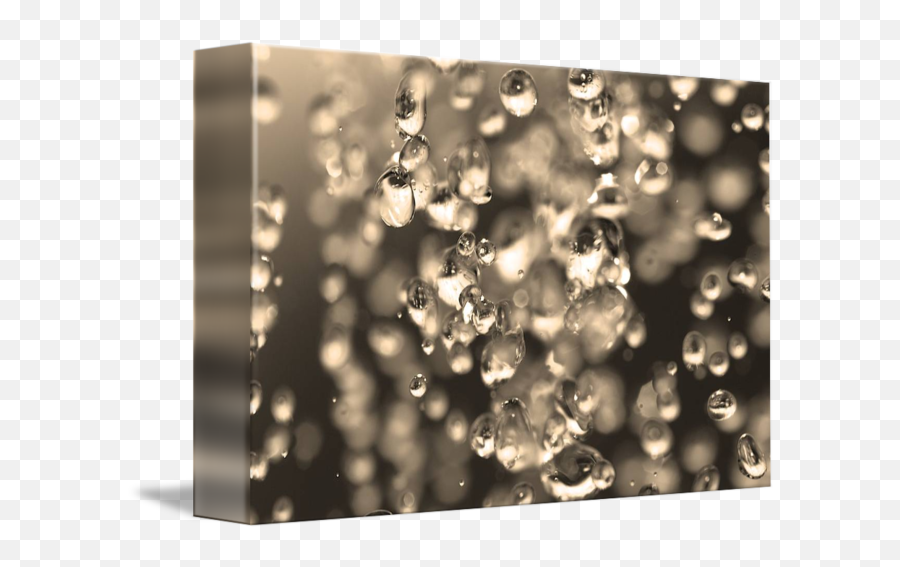 Dripping Water Colos By Homero Campos - Macro Photography Png,Dripping Water Png