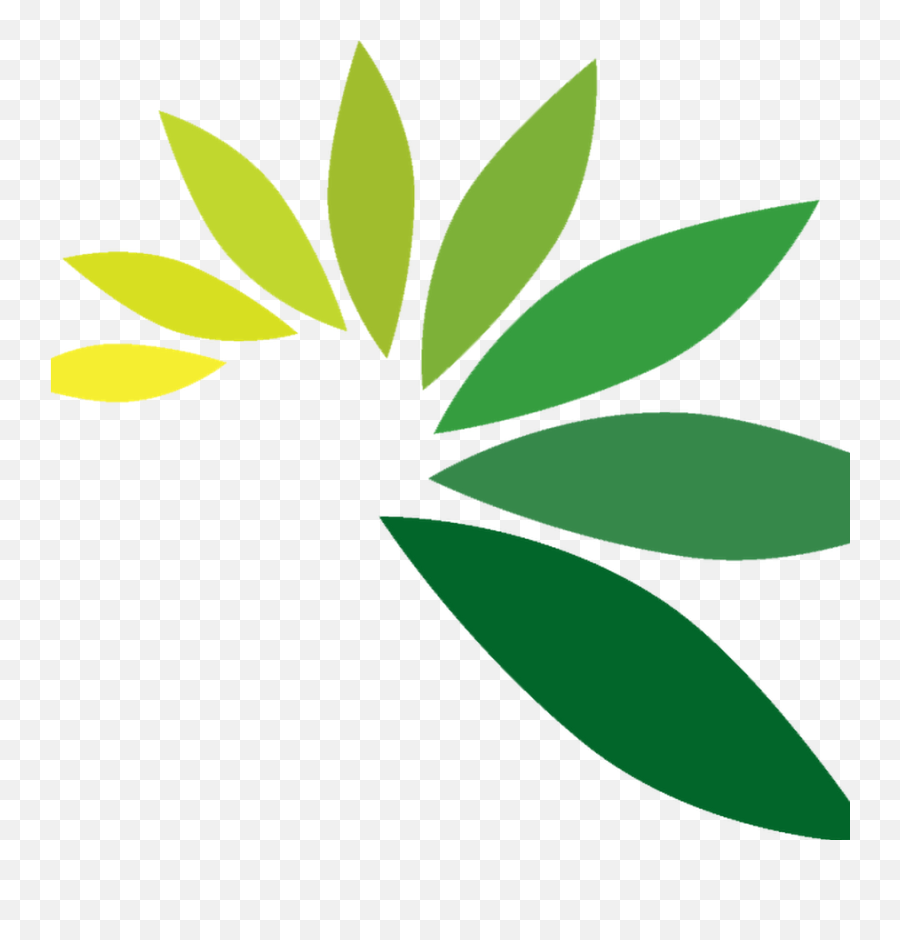 Pin - Leaf Logo Hd Png,Leaf Logo