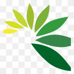 Pin - Leaf Logo Hd Png
