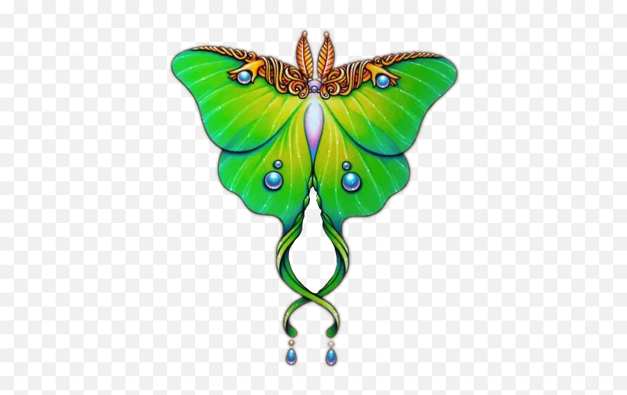 Butterfly Green Jewel Beautiful Beauty - Luna Moth Body Jewelled Luna Moth Tattoo Png,Moth Png