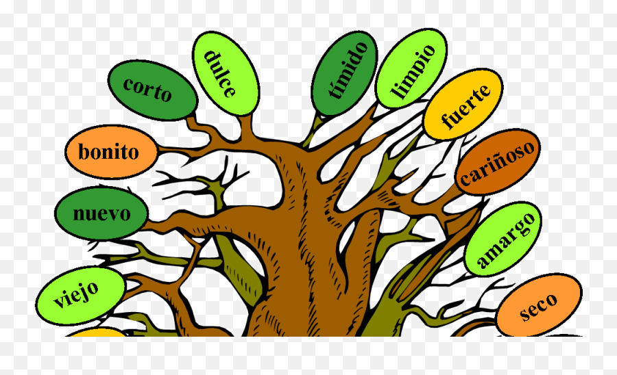 Adjectives - Adjective Png,Arboles Png