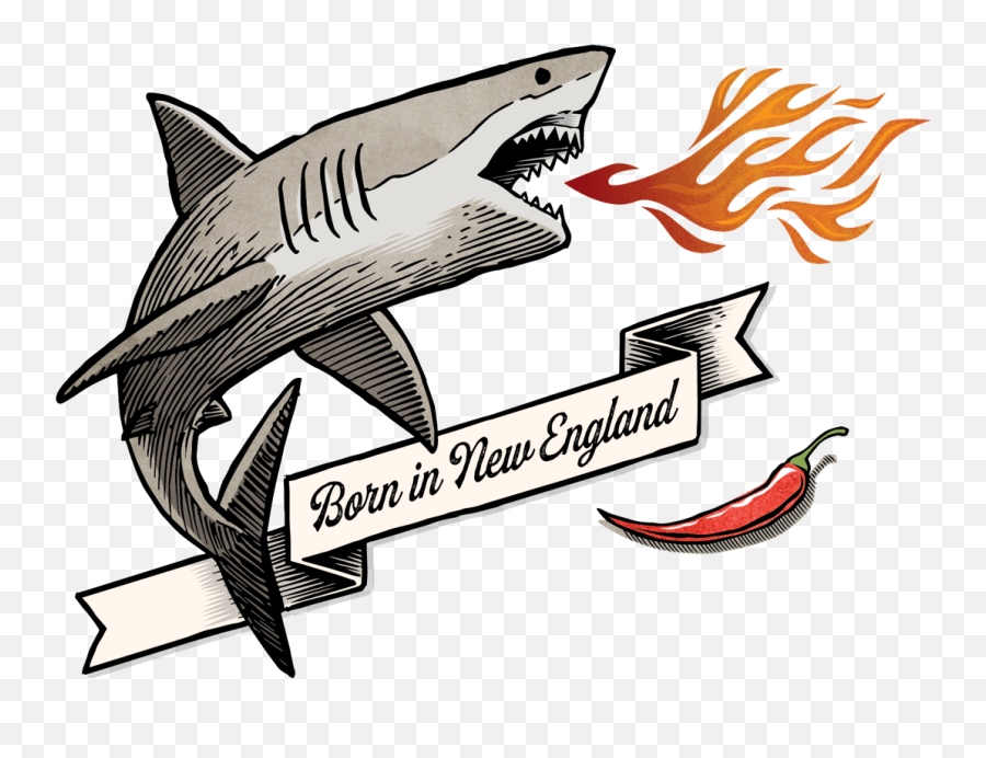 Spicy Shark Transparent Cartoon - Spicy Shark Hot Sauce Png,Shark Transparent