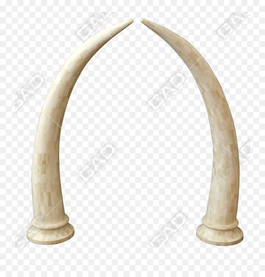 Download Tusk - Arch Hd Png Download Uokplrs Blowing Horn,Tusk Png