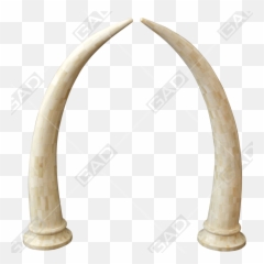 Download Tusk - Arch Hd Png Download Uokplrs Blowing Horn,Tusk Png
