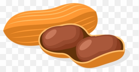Peanut Clipart - Peanuts Vector Png,Peanuts Png