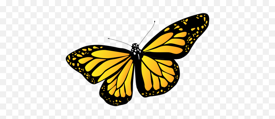 Detailed Yellow Garden Butterfly - Transparent Png U0026 Svg Borboleta Amarela Em Png,Butterflies Transparent