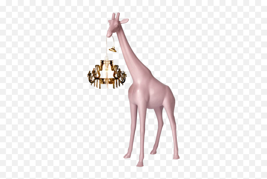 Giraffe In Love Xs 2021 Playful Design Icon - Giraffe In Love Lamp Png,Playful Icon