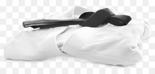 Laundry Order Form - Aikido Shinryukan Soft Png,Socialising Icon